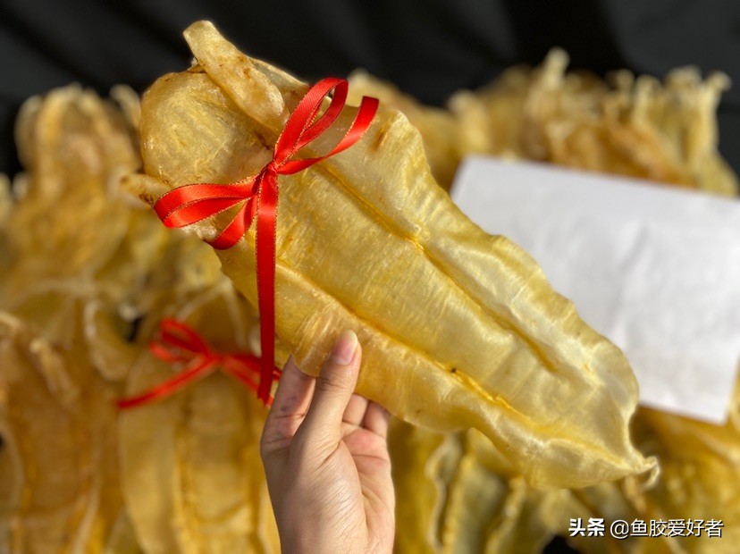 鱼胶网红推荐,今年爆款鱼胶