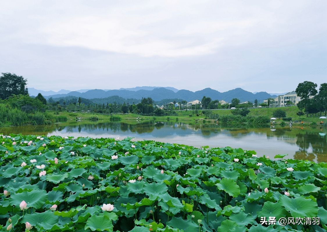 周末室内避暑好去处成都市内,夏日避暑好去处成都