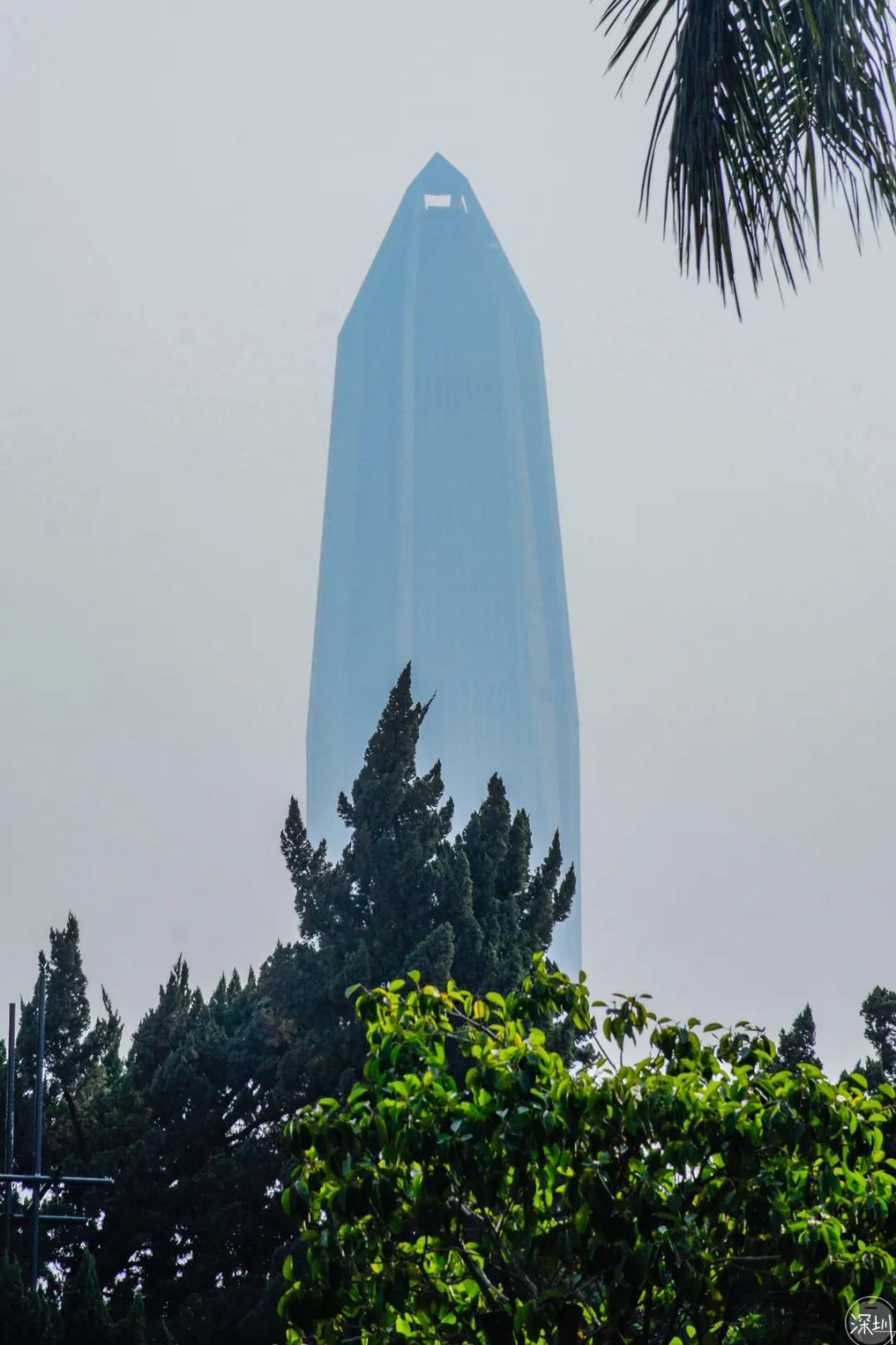 莲花山绿了没,莲花山红色景点有哪些