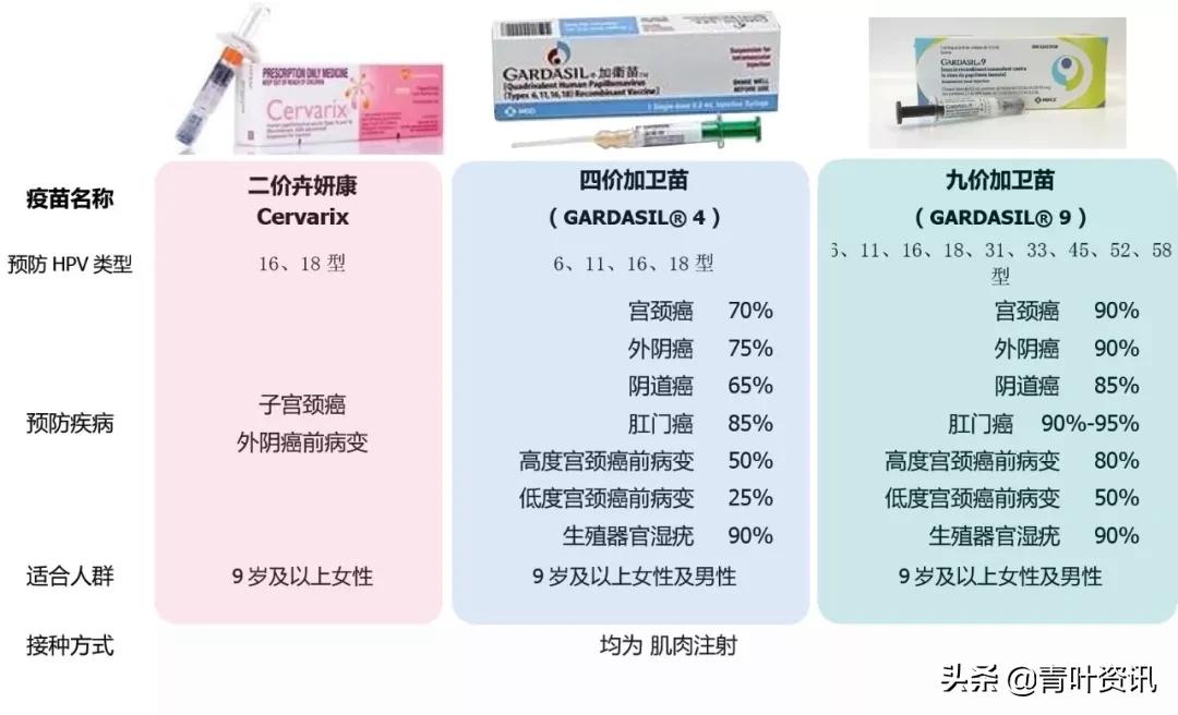 hpv九价疫苗和hpv疫苗有什么区别,害怕hpv