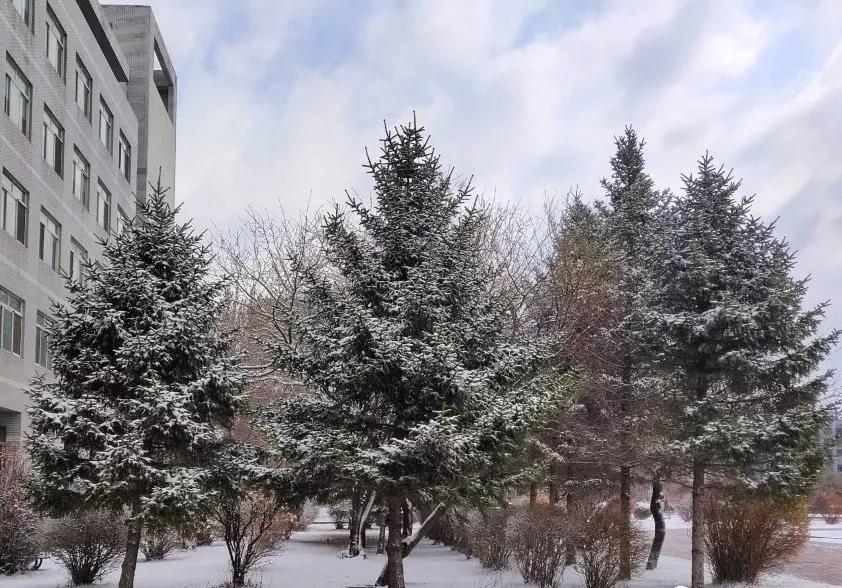 辽宁省内大学排名沈阳医学院,辽宁省沈阳医学院前景