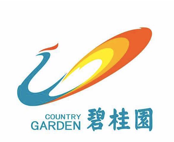 华南五虎有多厉害,华南五虎再现广东宏远