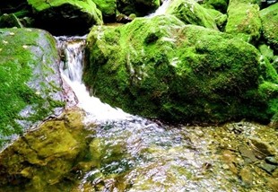 耿峪石门岔徒步,耿峪休闲旅游攻略清明