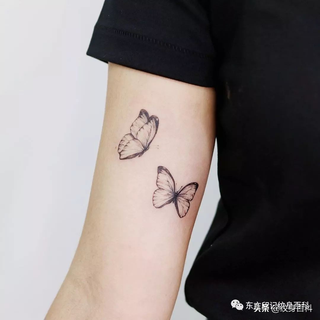 蝴蝶纹身图案代表什么,代表自由的蝴蝶纹身