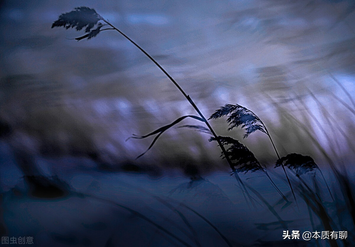 漾馨耳语｜在屎尿般的人生里波澜壮阔