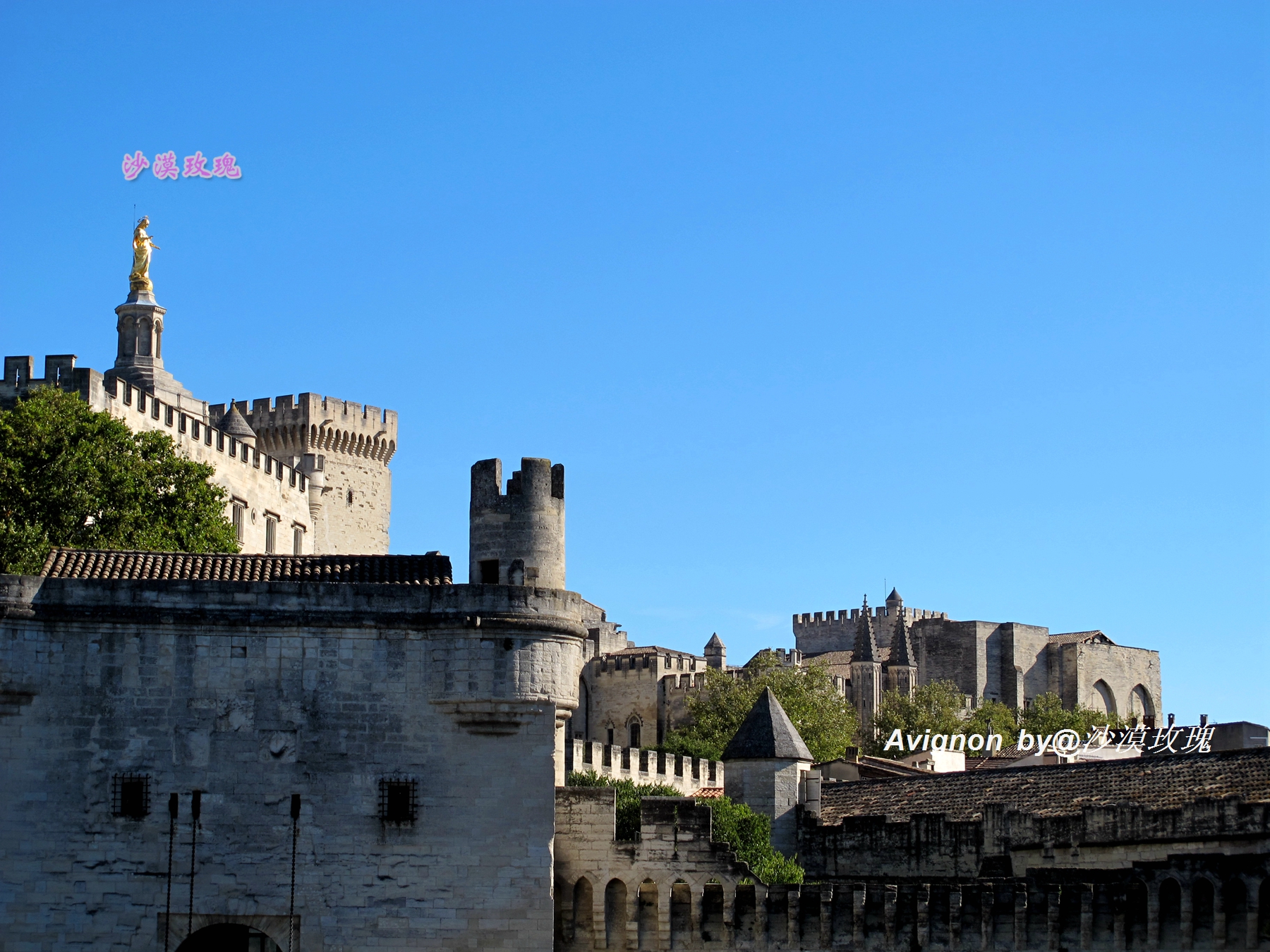 普罗旺斯有浪漫的薰衣草,普罗旺斯未开的熏衣草