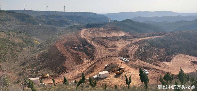 牛人圈里有一个“鲁大师”——访河南惠龙牧业股份有限公司总经理鲁志民