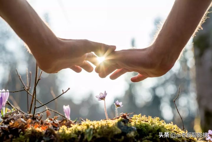 适合中学生看的英文电影励志电影,励志英文电影推荐