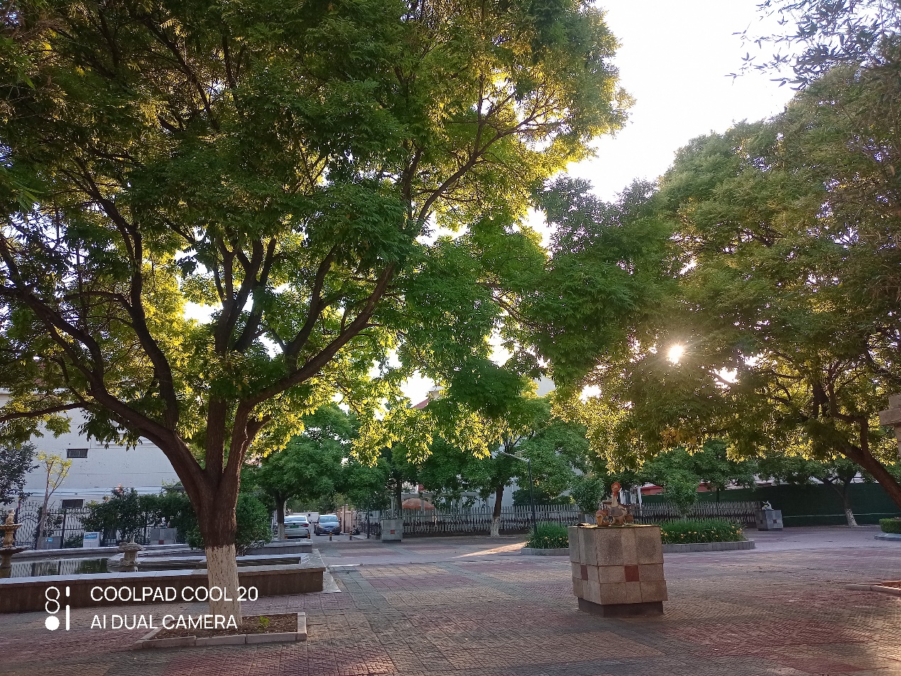 酷派cool20什么时候出,酷派cool20真实评测