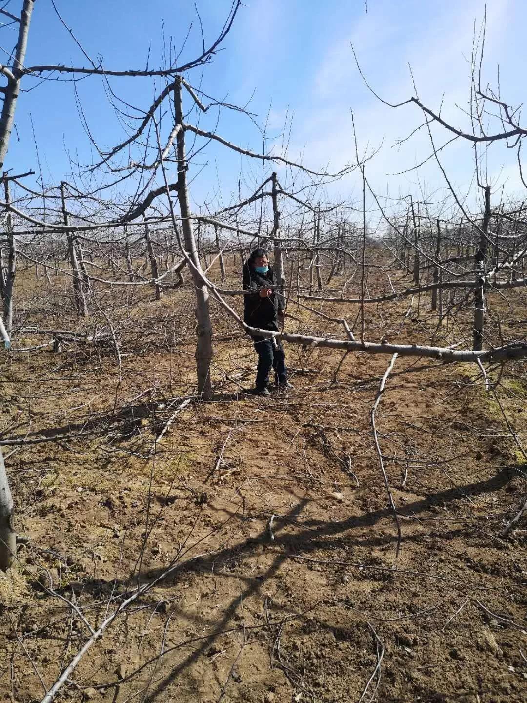 平凉泾川疫情防控政策最新,平凉疫情防控措施表格图