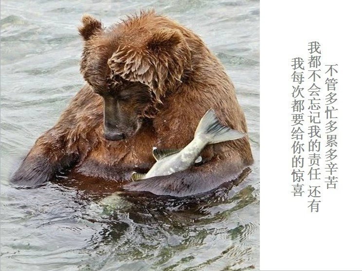 我只想说声爱你,只想再爱你一次