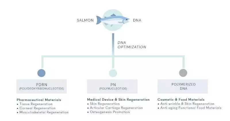 爱马仕轻医美,医美中的爱马仕你知道的有几个