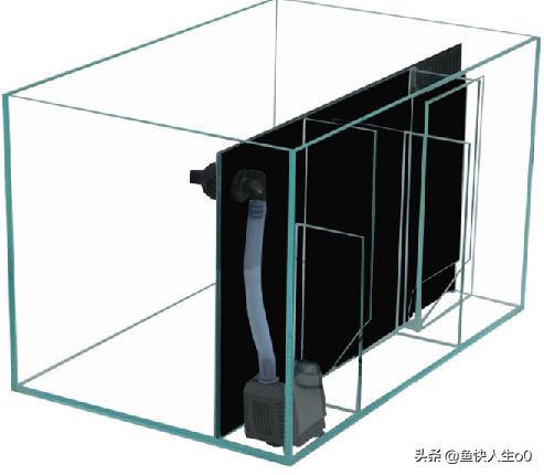 养鱼怎样完善过滤系统,底滤缸养鱼用哪种过滤