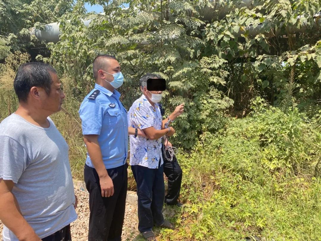 护航新征程回放,护航新征程在线观看