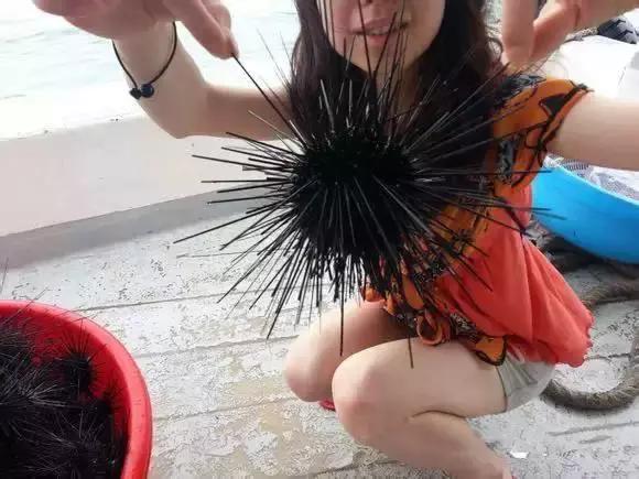 宁波一渔民整理海鲜大全,宁波最全的海鲜