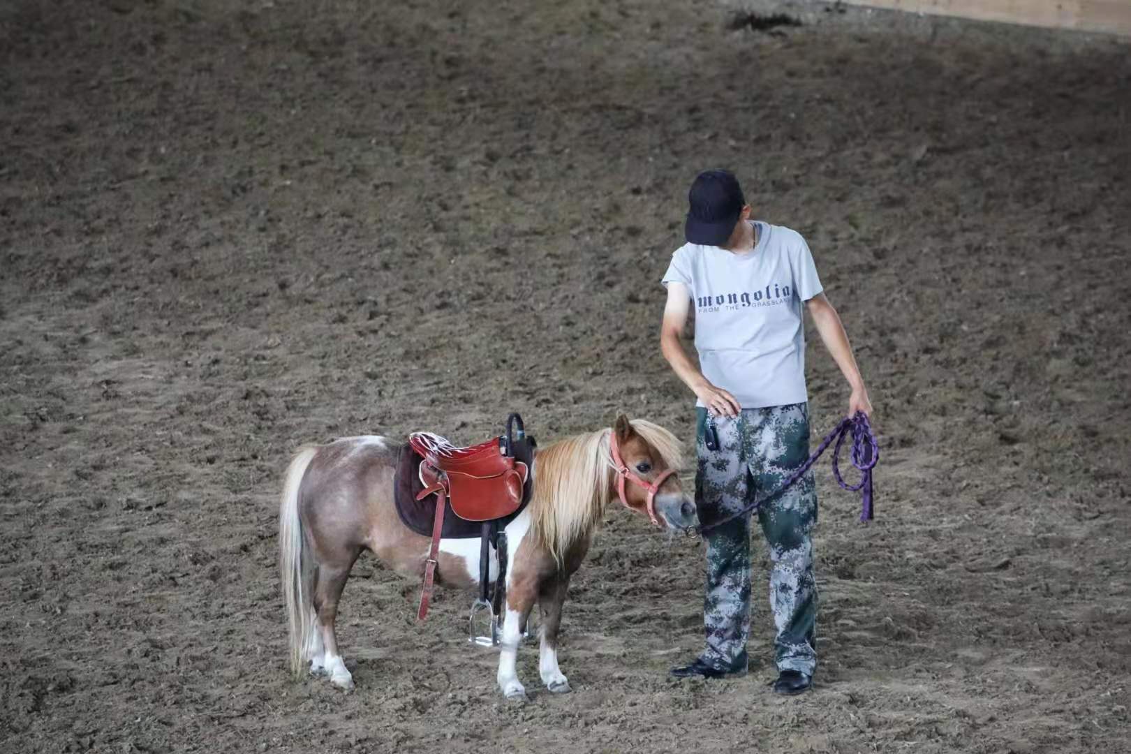 锡林郭勒大草原3天旅游攻略,锡林郭勒大草原五日游推荐