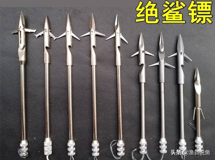 高效毒辣的“射鱼*党**”，诱人的鱼获下，却隐藏危机