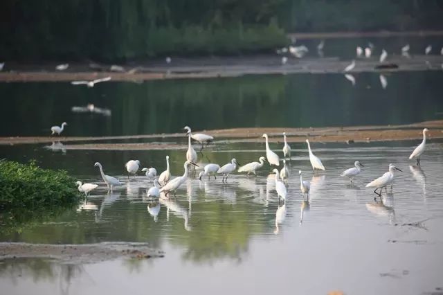 央视新闻直播西安夜景,央视直播西安奥体中心