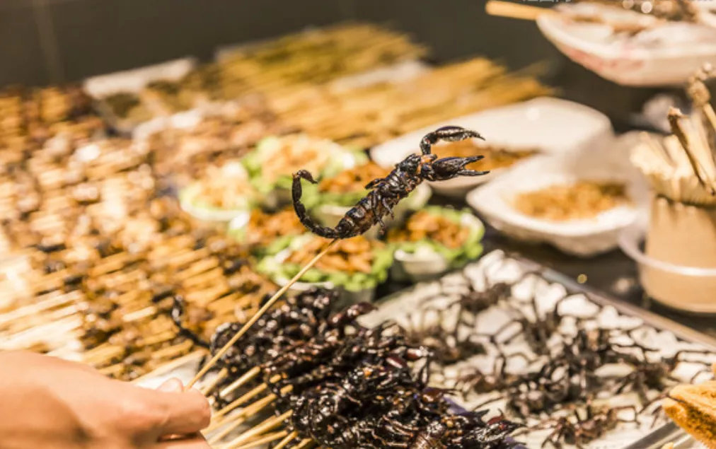 昆虫蛋白食品,昆虫蛋白医药