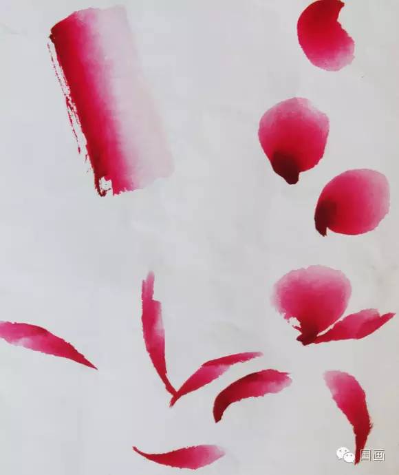 张克申写意牡丹画法教程,邵丹写意牡丹各阶段画法