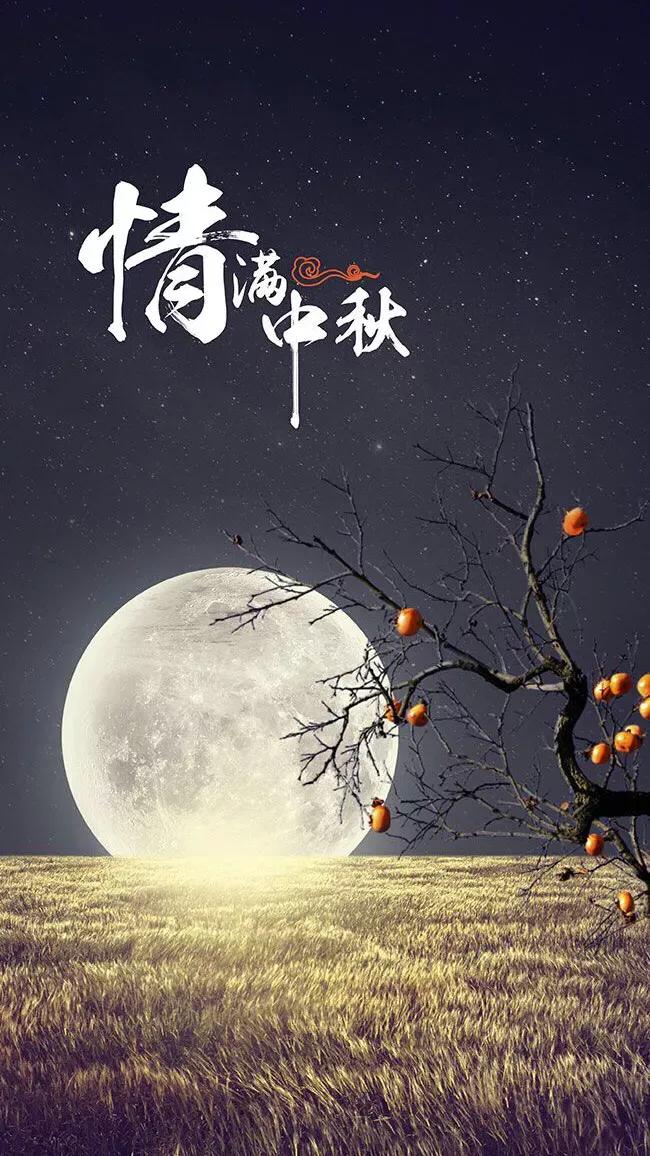 广西传统节日作文二年级,具有广西民族特色的传统节日