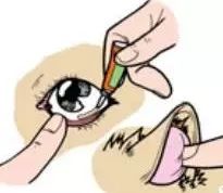 猫咪洗澡正确的步骤,没有猫咪沐浴露怎么给猫洗澡