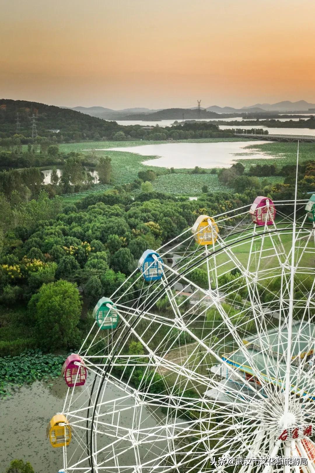 蔡甸区游玩,蔡甸在哪里