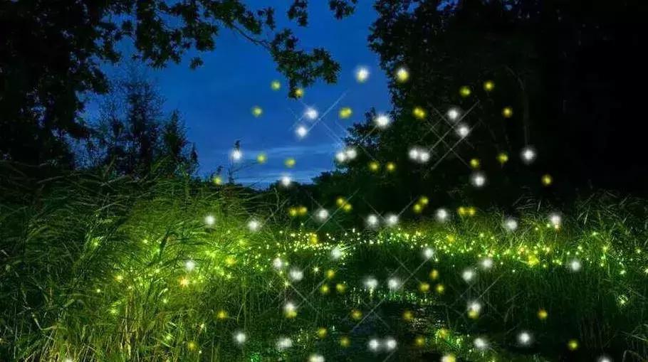 巨邦内训丨与大舅哥共饮度中秋，在美业能量聚集地，为梦想而战