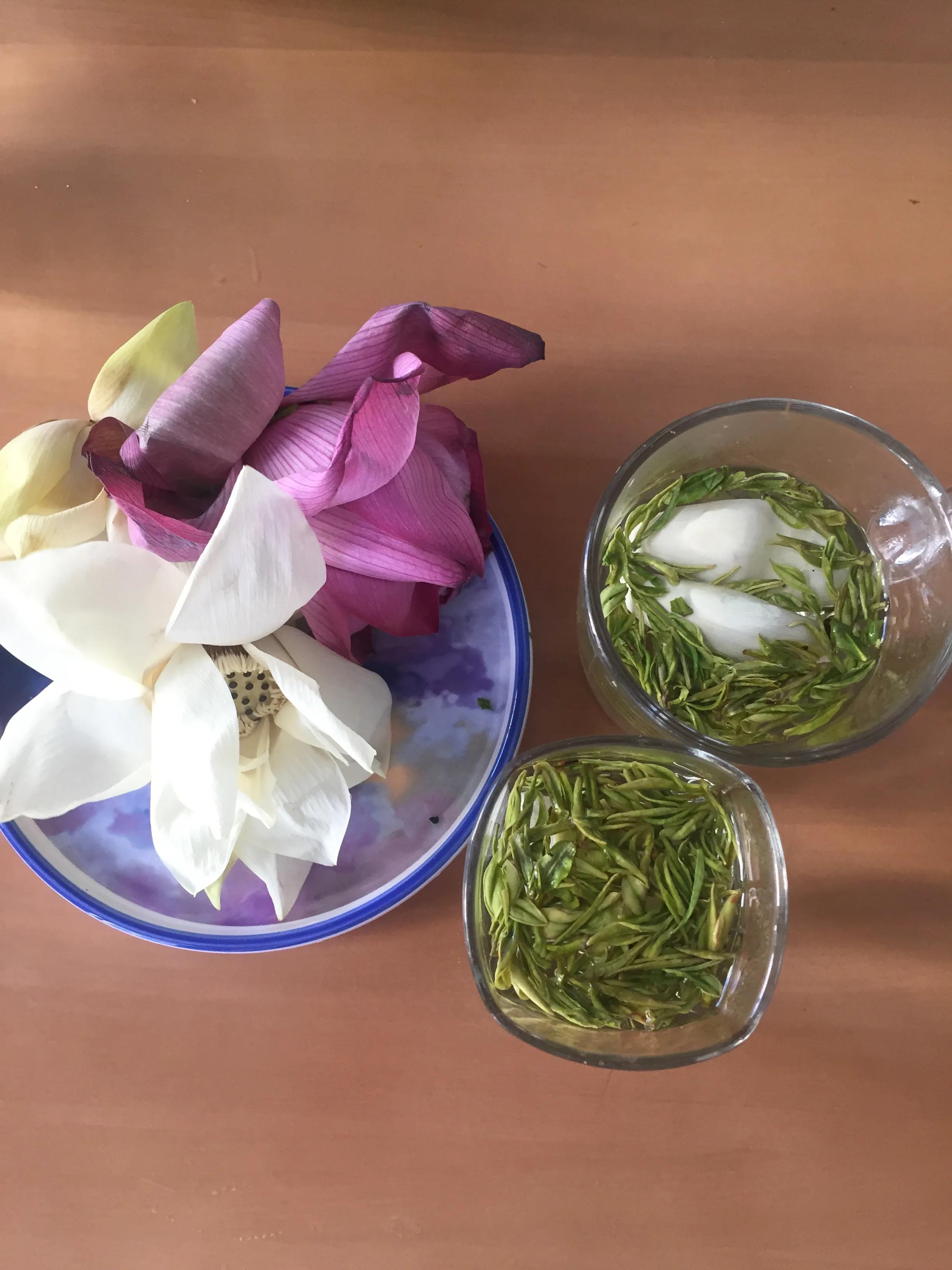 稚吟秋声全文,稚吟秋声原创