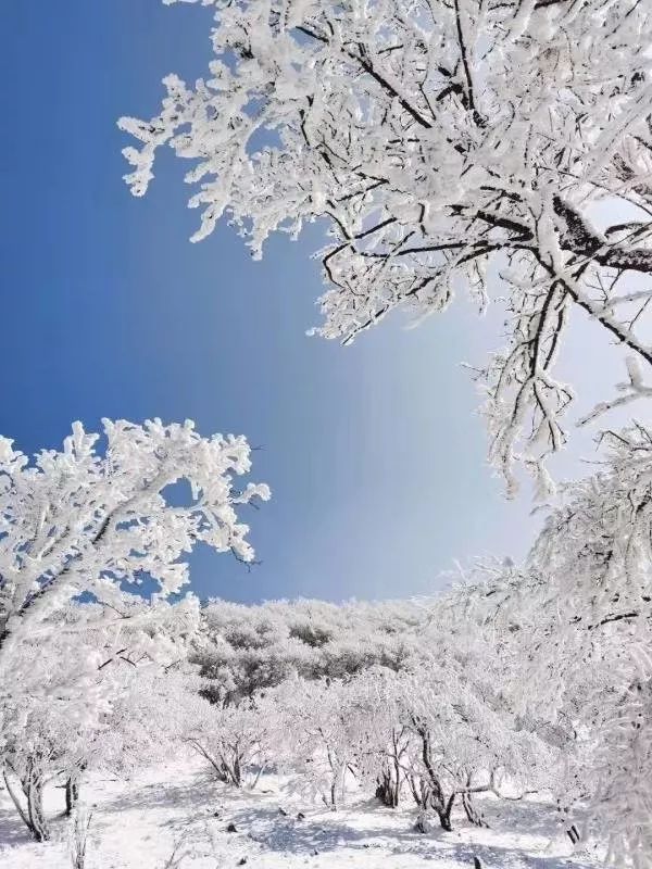 看一眼纯纯的凤县蓝，这就是我爱上凤县冬日的理由