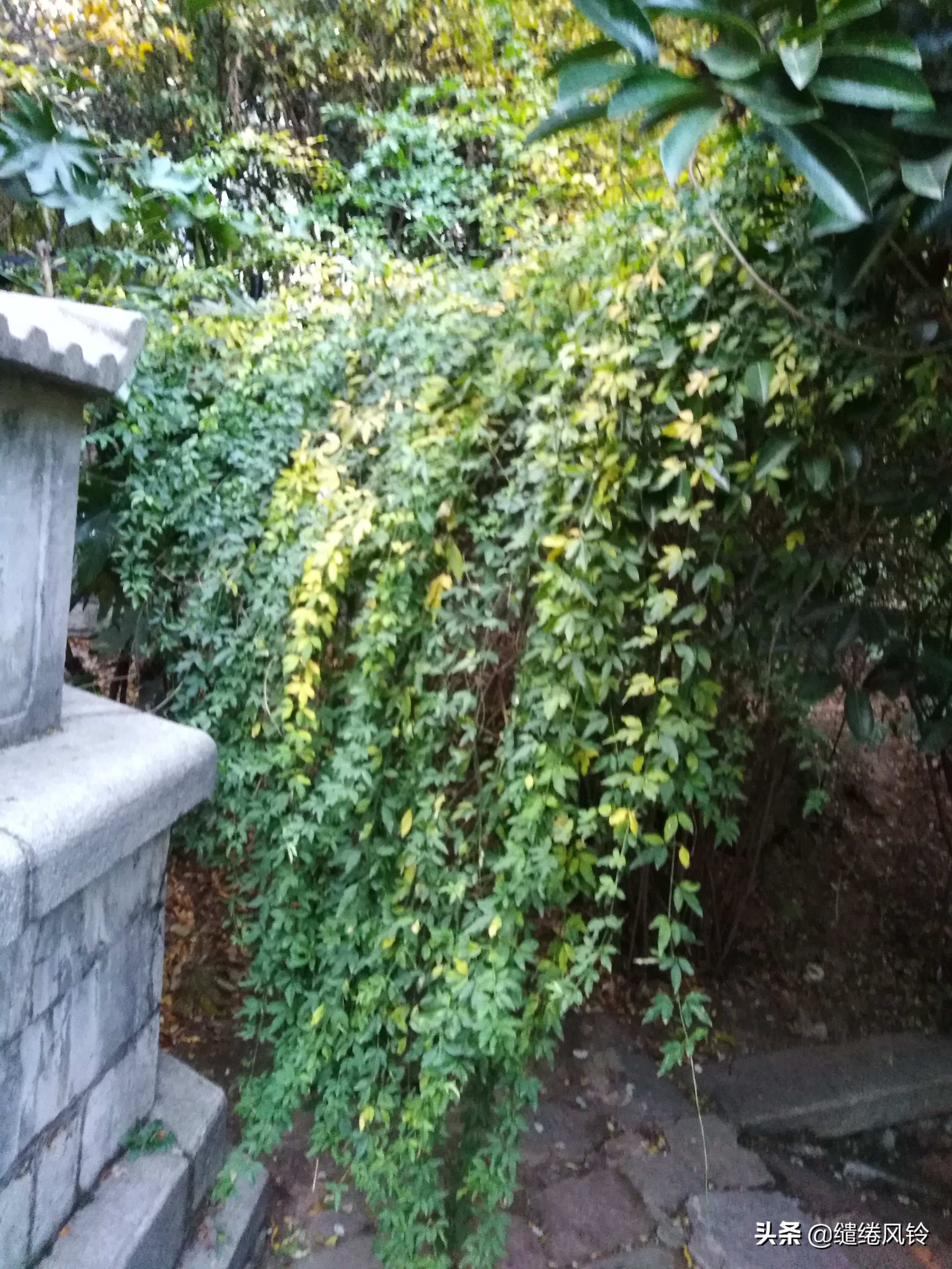 石榴花塔：惊天泣地汉版《窦娥冤》，演绎一段悲戚哀婉的经典传奇