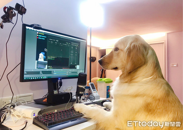 拒当靠爸族！俏丽金妞客串实况主5分钟　粉丝4200颗星星