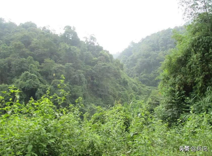 越南老兵重回当年战斗过的洞穴 (越南老兵回忆丛林战争)