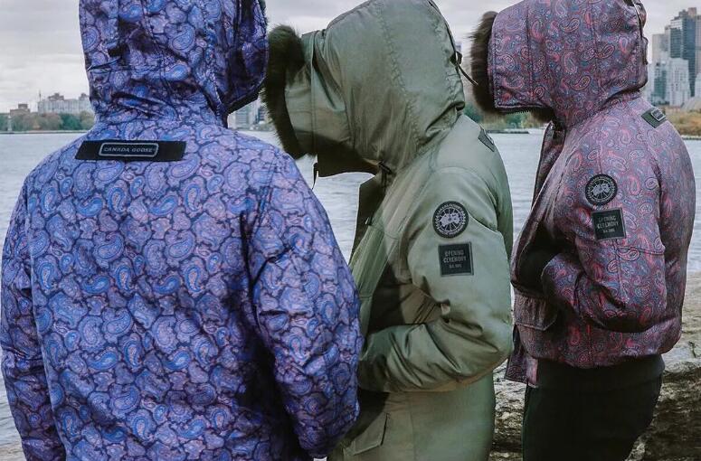 都说鹅绒贵为什么售价比鸭绒便宜,加拿大鹅和蒙克羽绒服哪件比较好