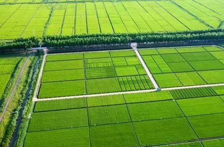 韶关最值得去的古村,韶关私藏了一个粉墙黛瓦的古村落