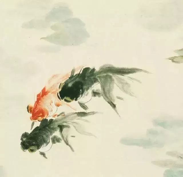 中国金鱼历史简介,中国金鱼鉴赏与文化