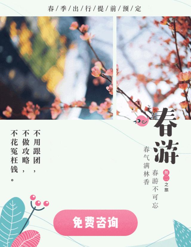 中国护照2019年最新最全免签、落地签攻略，拎包就走！