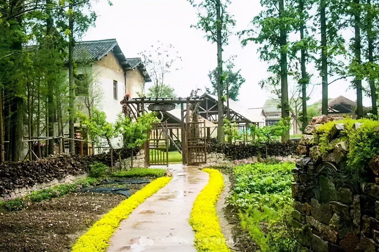 乌村推出一价全包模式的好处,乌村年接待游客量