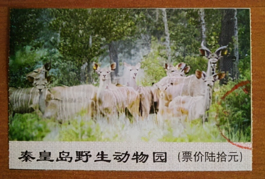 秦皇岛老君顶景区门票,秦皇岛有哪些值得一去的景点