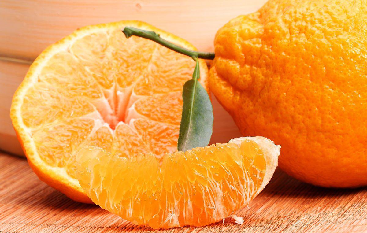 不知火丑柑缺点,不知火丑柑的缺点