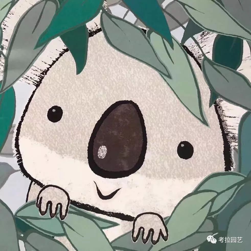 大地的恩赐图片,大地的馈赠是大天域吗