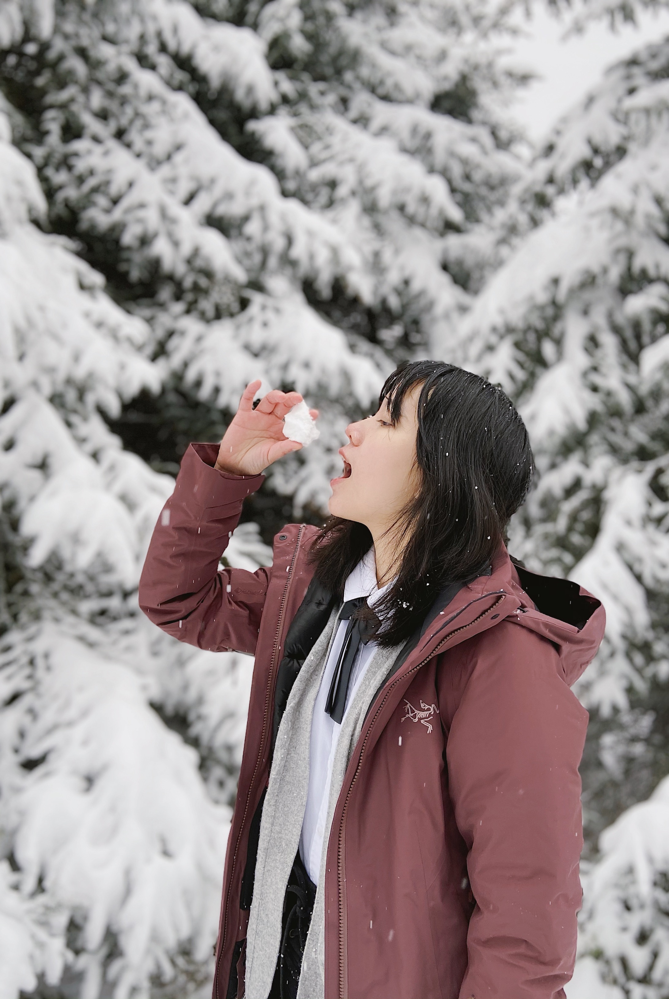 始祖鸟顶级羽绒服macai极寒测评,始祖鸟macai羽绒服拆解