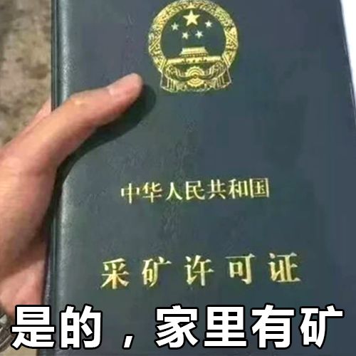 各个地区表情包排名,各省人最爱发的表情包