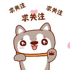 终于有人把P2P、P2C、O2O、B2C、B2B、C2C的区别讲透了！