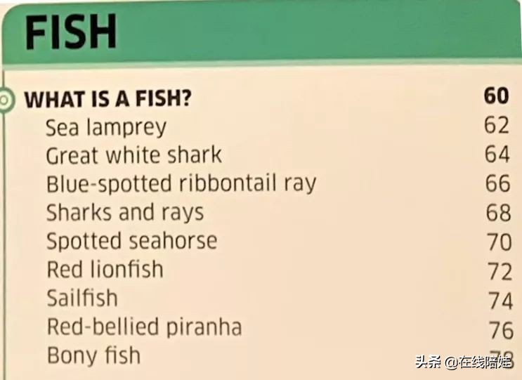 dk知识大百科全套,dk知识大百科书金银版