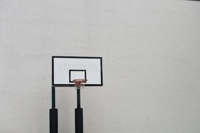 自学篮球新手教程,自学篮球的顺序