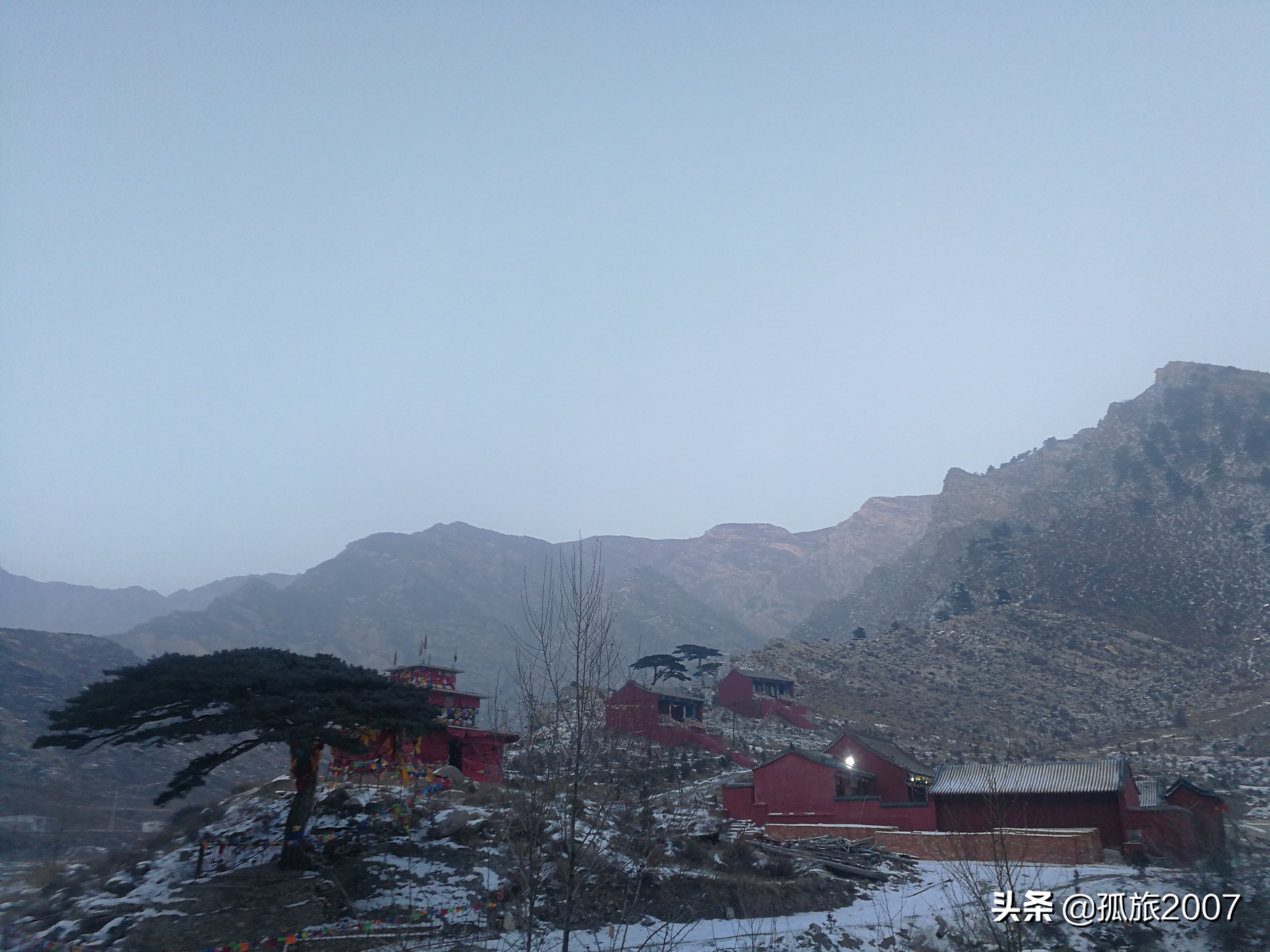 哈拉沁老爷庙迎客松多少年了,哈拉沁古庙