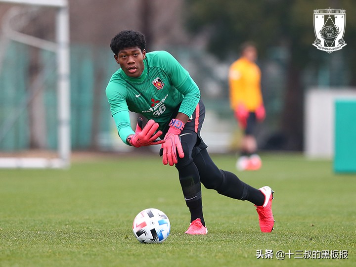 日非混血多吗,日非混血队