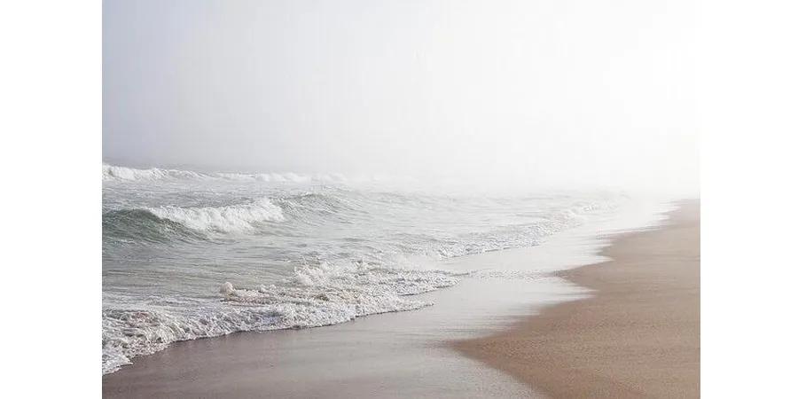 儿童画海洋生物简单画法,4-6岁儿童画海洋颜色