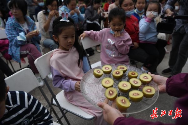 正宗翠香绿心新鲜猕猴桃,武汉植物园选育猕猴桃